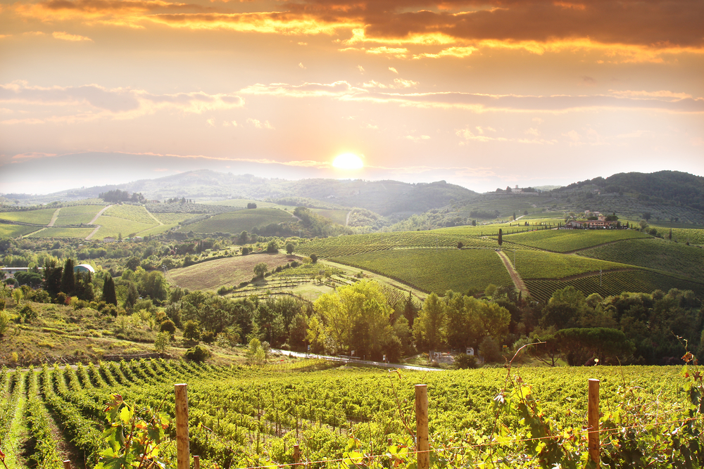 Wedding in Tuscany