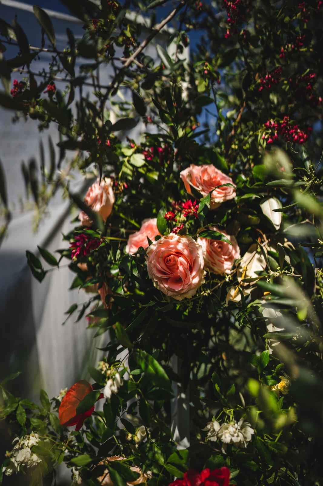 Deepti & Nick Hindu-Greek Wedding in Siena